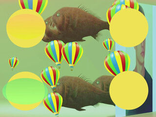 Fish Cache Aquarium New Ocean Glass