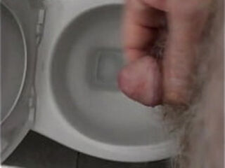 Rustyas1 - Masturbating In Another Public Toilet